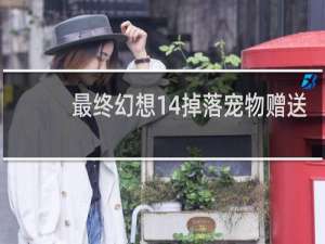 最终幻想14掉落宠物赠送