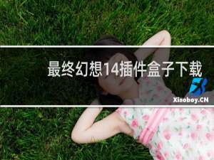 最终幻想14插件盒子下载