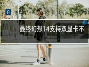 最终幻想14支持双显卡不