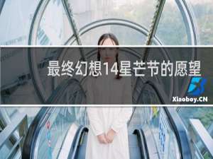 最终幻想14星芒节的愿望