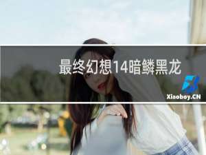 最终幻想14暗鳞黑龙