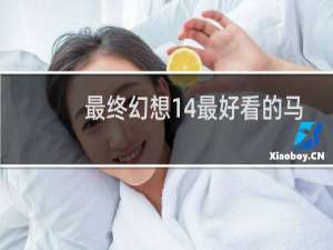 最终幻想14最好看的马