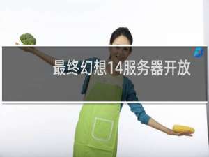 最终幻想14服务器开放