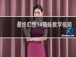最终幻想14猫妹教学视频
