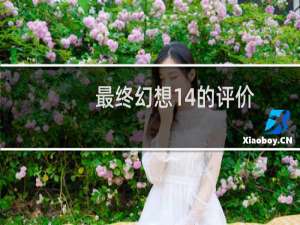 最终幻想14的评价