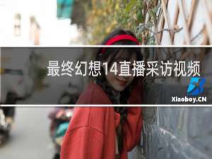 最终幻想14直播采访视频