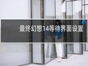 最终幻想14等待界面设置