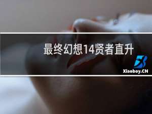 最终幻想14贤者直升
