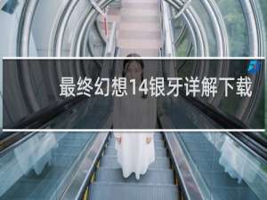 最终幻想14银牙详解下载