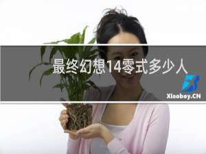 最终幻想14零式多少人