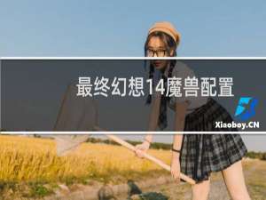 最终幻想14魔兽配置