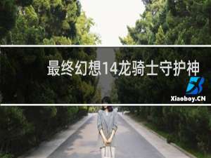 最终幻想14龙骑士守护神