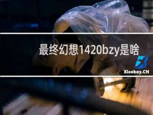 最终幻想14 bzy是啥