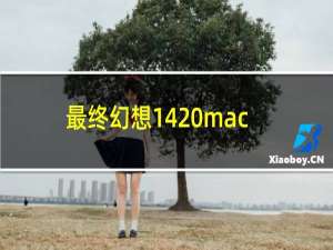 最终幻想14 mac