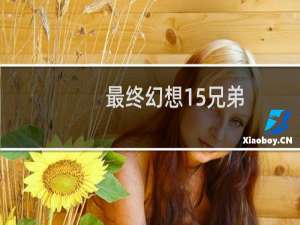 最终幻想15兄弟