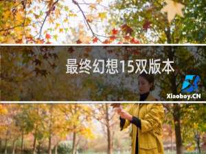 最终幻想15双版本