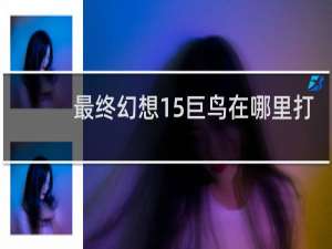 最终幻想15巨鸟在哪里打