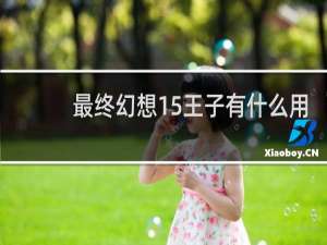 最终幻想15王子有什么用
