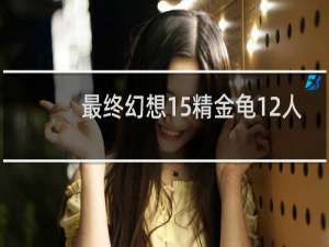 最终幻想15精金龟12人