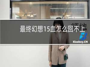 最终幻想15血怎么回不上