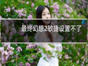 最终幻想2敏捷设置不了