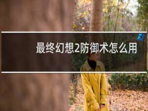 最终幻想2防御术怎么用