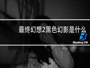 最终幻想2黑色幻影是什么