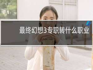 最终幻想3专职转什么职业