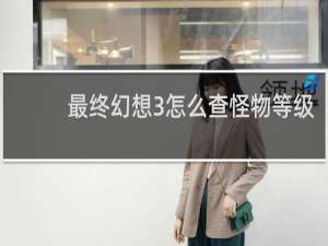 最终幻想3怎么查怪物等级