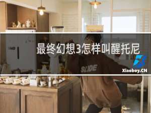最终幻想3怎样叫醒托尼