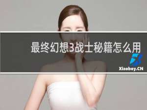 最终幻想3战士秘籍怎么用