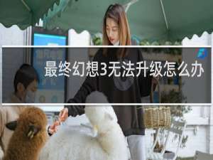 最终幻想3无法升级怎么办
