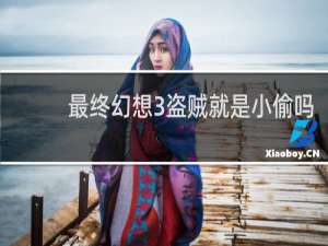 最终幻想3盗贼就是小偷吗