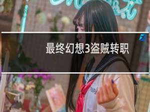 最终幻想3盗贼转职
