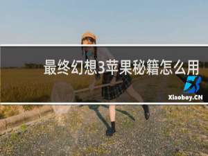 最终幻想3苹果秘籍怎么用