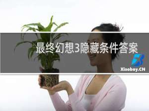 最终幻想3隐藏条件答案
