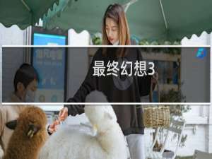 最终幻想3 阵容