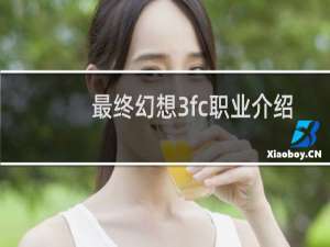 最终幻想3fc职业介绍