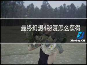 最终幻想4秘笈怎么获得