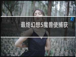 最终幻想5魔兽使捕获