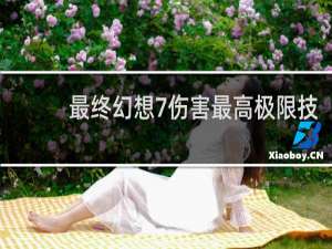 最终幻想7伤害最高极限技