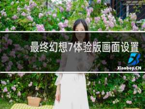 最终幻想7体验版画面设置