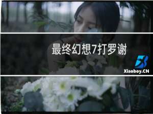 最终幻想7打罗谢