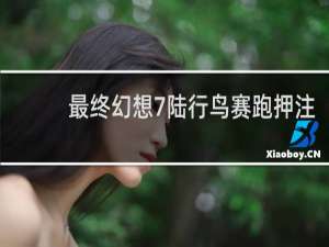最终幻想7陆行鸟赛跑押注
