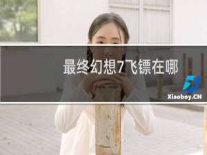最终幻想7飞镖在哪