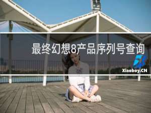 最终幻想8产品序列号查询