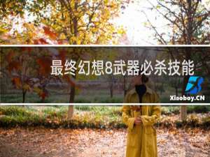 最终幻想8武器必杀技能