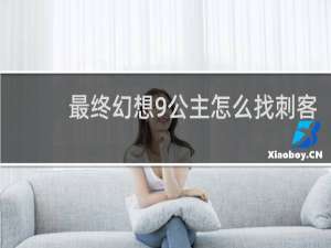 最终幻想9公主怎么找刺客
