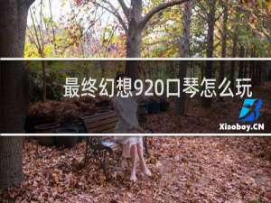 最终幻想9 口琴怎么玩