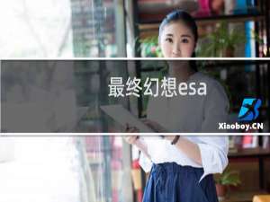 最终幻想esa